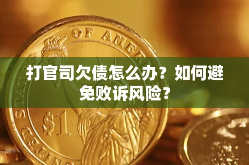武汉打官司欠债怎么办？如何避免败诉风险？