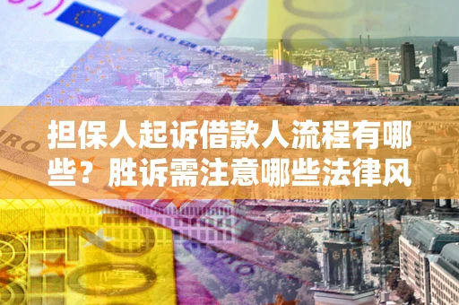武汉担保人起诉借款人流程有哪些？胜诉需注意哪些法律风险？