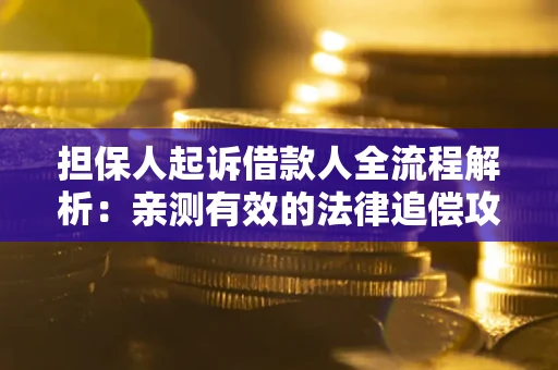 武汉担保人起诉借款人全流程解析：亲测有效的法律追偿攻略