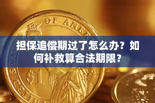 武汉担保追偿期过了怎么办？如何补救算合法期限？