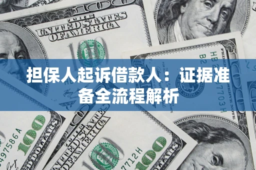 武汉担保人起诉借款人：证据准备全流程解析