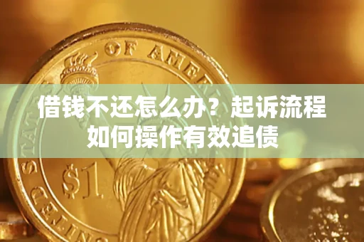 武汉借钱不还怎么办？起诉流程如何操作有效追债