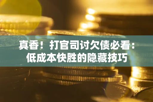 武汉真香！打官司讨欠债必看：低成本快胜的隐藏技巧