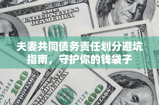 武汉夫妻共同债务责任划分避坑指南，守护你的钱袋子