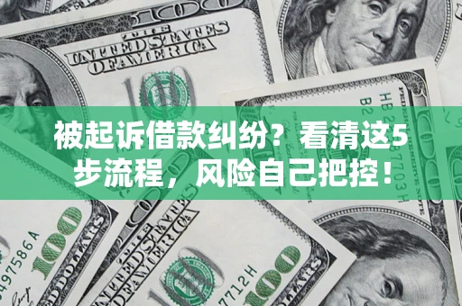武汉被起诉借款纠纷？看清这5步流程，风险自己把控！