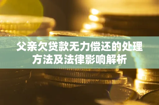 武汉父亲欠贷款无力偿还的处理方法及法律影响解析