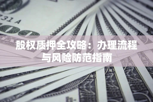 武汉股权质押全攻略：办理流程与风险防范指南